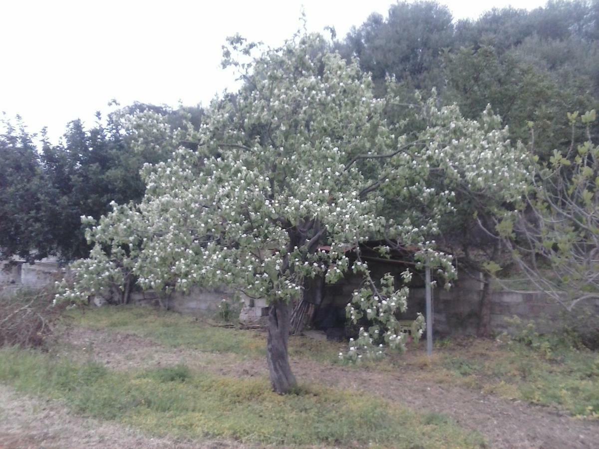 Agriturismo "Pirastreri" Siniscola Bagian luar foto