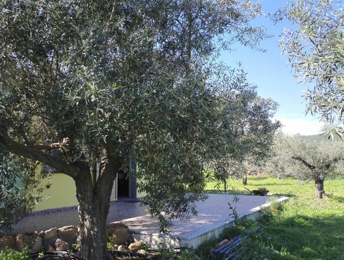 Agriturismo "Pirastreri" Siniscola Bagian luar foto